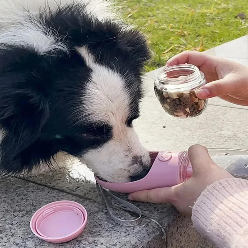 Garrafa Repartida para Agua e Comida para Passeios com Cães e Gatos